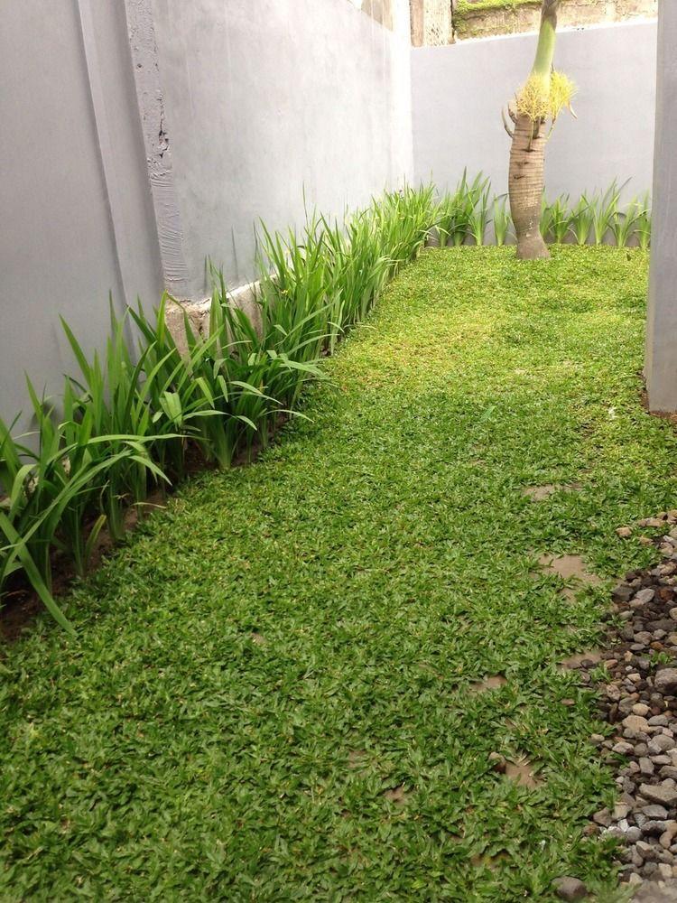 Safa Homestay Yogyakarta Buitenkant foto